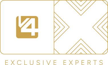 V4X · Exclusive Experts
